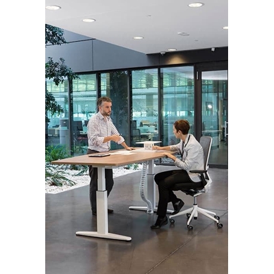 MESA CON ELEVECIÓN ELECTRICA MOBILITY - Imagen 2